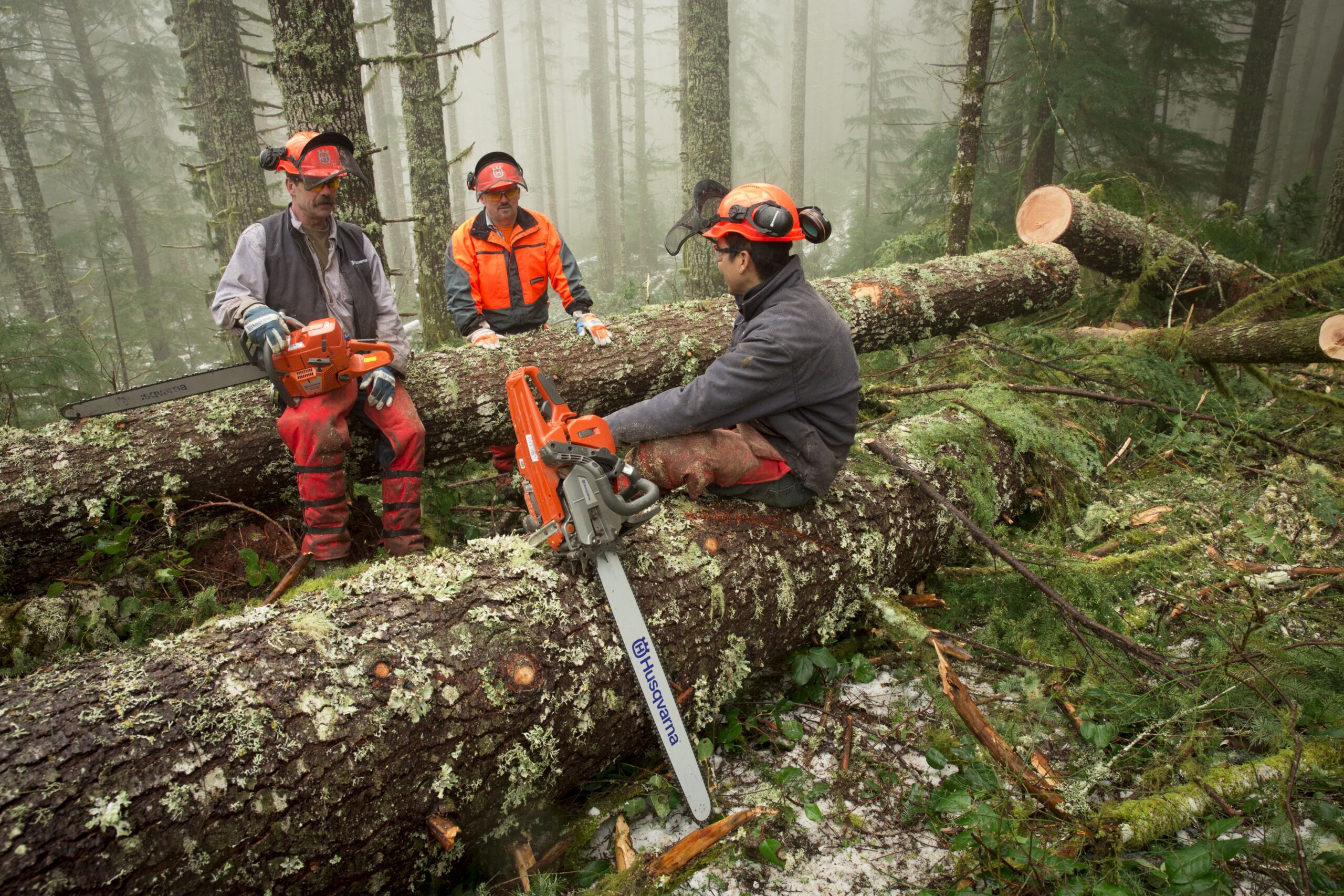 HUSQVARNA 372 XP X-TORQ Chainsaw - Image 2