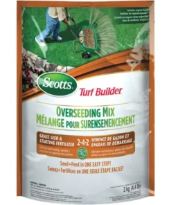 Overseed With Fertilizer Grass Seed 2kg